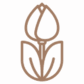 Tulpe, die für das Logo verwendet wird