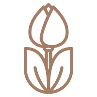 Tulpen die für das Logo verwendet wird